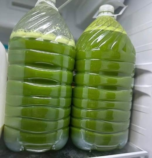 Fresh Green Juice Recipe