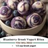 Frozen Blueberry Greek Yogurt Bites